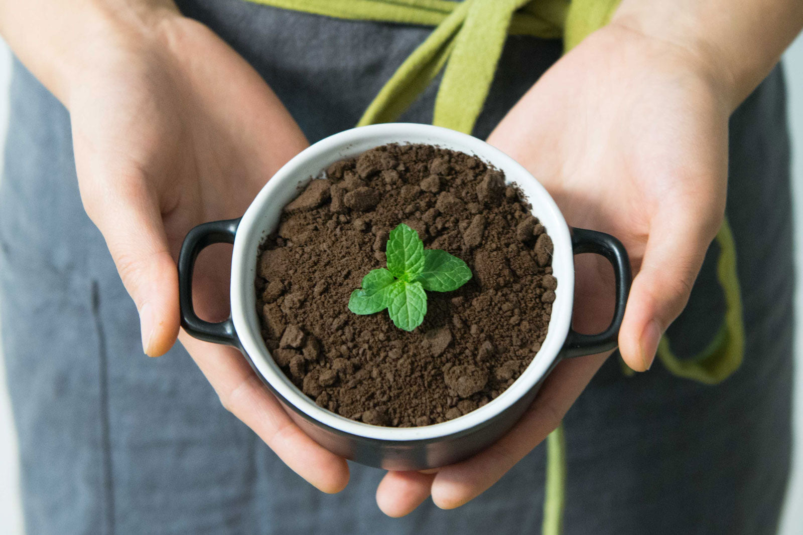 Are Wax Melts Eco-Friendly?