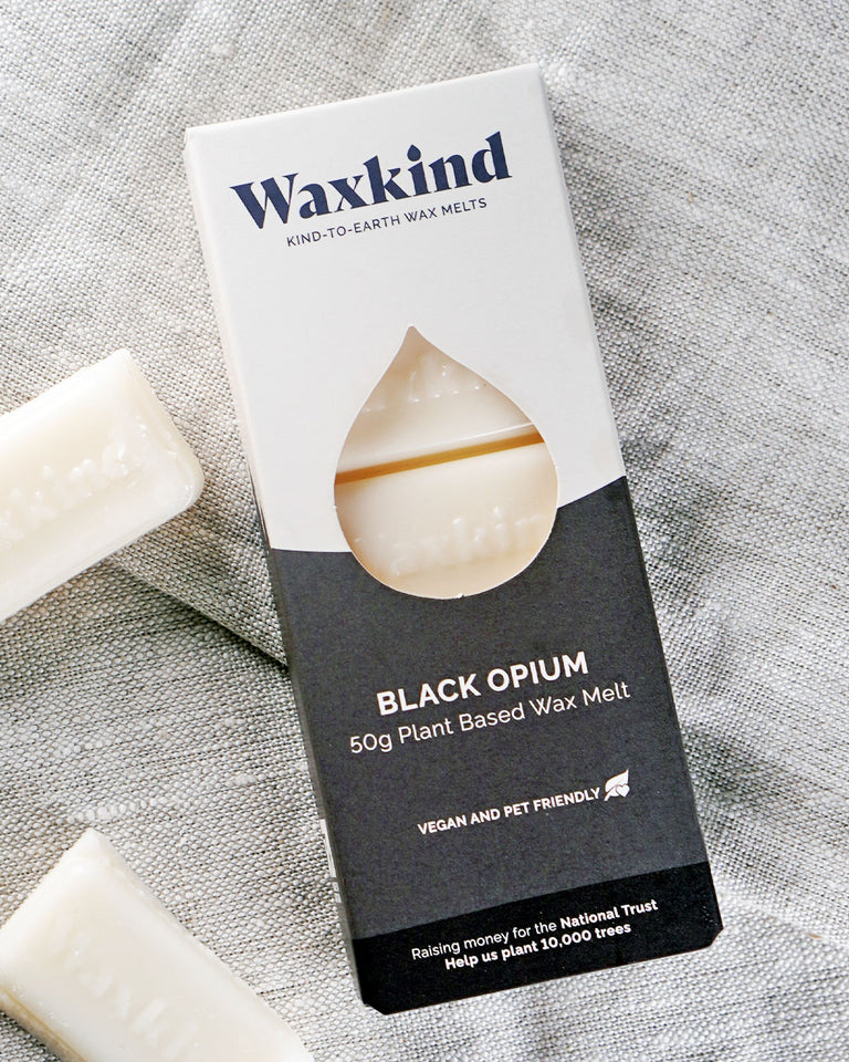 Kind-to-Earth Wax Melts  Environmentally Friendly – Waxkind